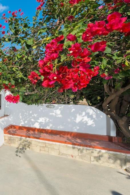 Greek Style Ground Floor Apartment & Pool Ialysos  Esterno foto