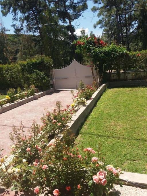 Greek Style Ground Floor Apartment & Pool Ialysos  Esterno foto