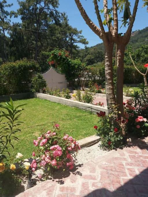 Greek Style Ground Floor Apartment & Pool Ialysos  Esterno foto