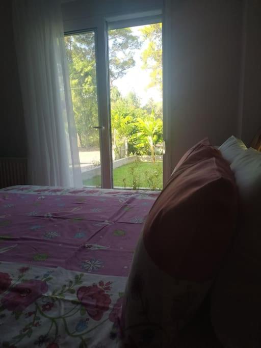 Greek Style Ground Floor Apartment & Pool Ialysos  Esterno foto