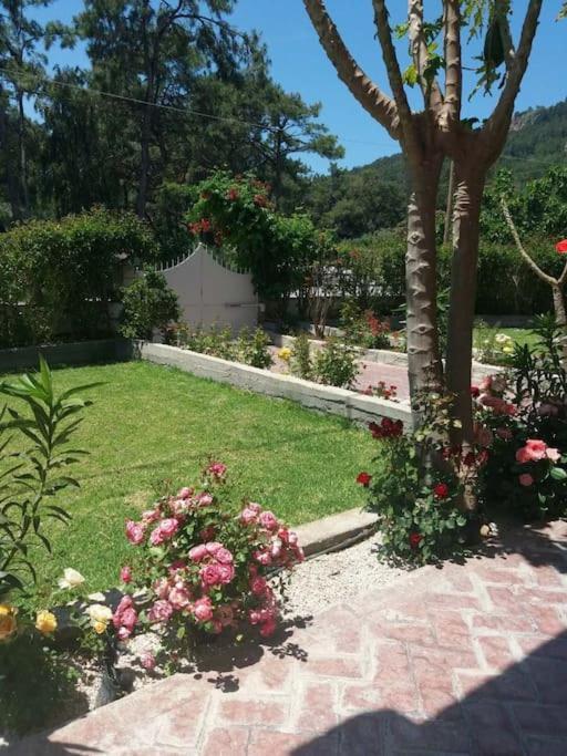 Greek Style Ground Floor Apartment & Pool Ialysos  Esterno foto