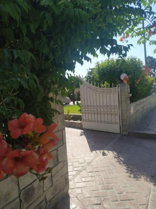Greek Style Ground Floor Apartment & Pool Ialysos  Esterno foto