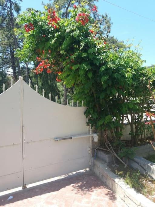 Greek Style Ground Floor Apartment & Pool Ialysos  Esterno foto